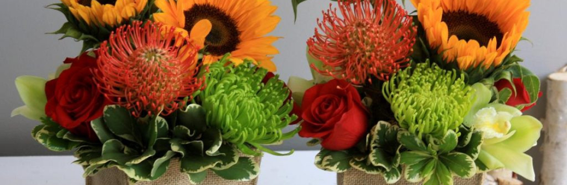 Stavebank Florist Cover Image