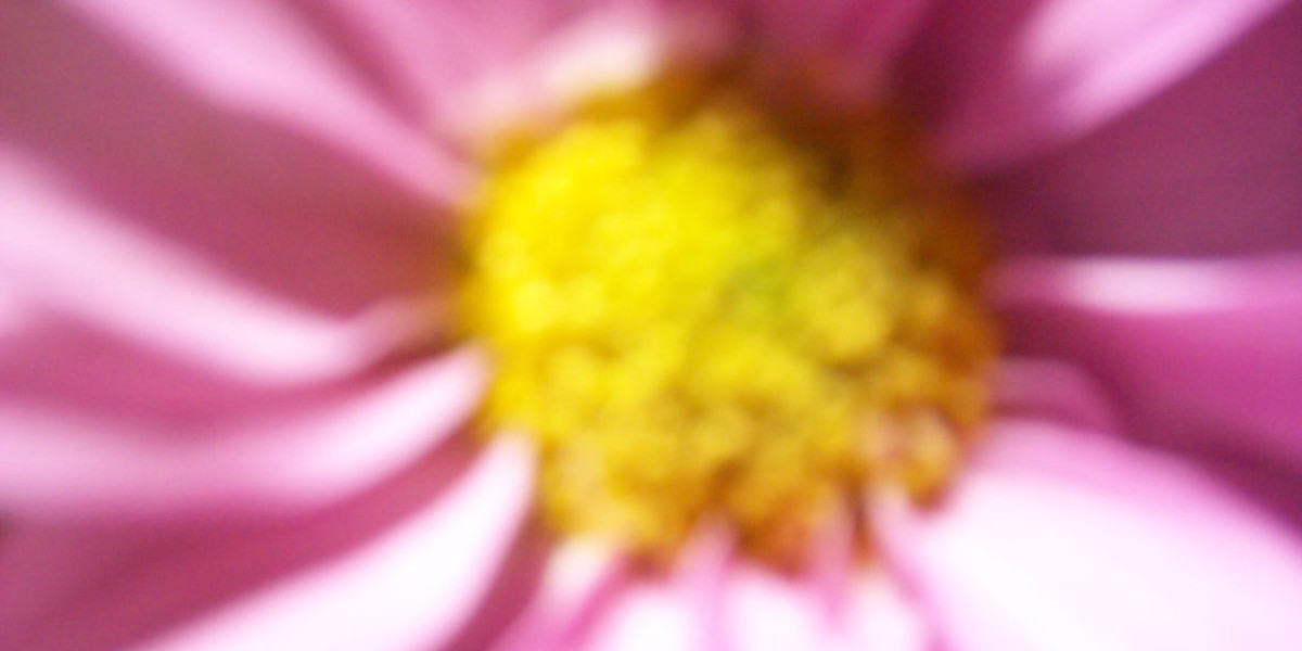 WinSpirit No Deposit Bonus Claim Free 50 Spins On Slots Updated November 2025