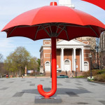 Travelers Profile Picture