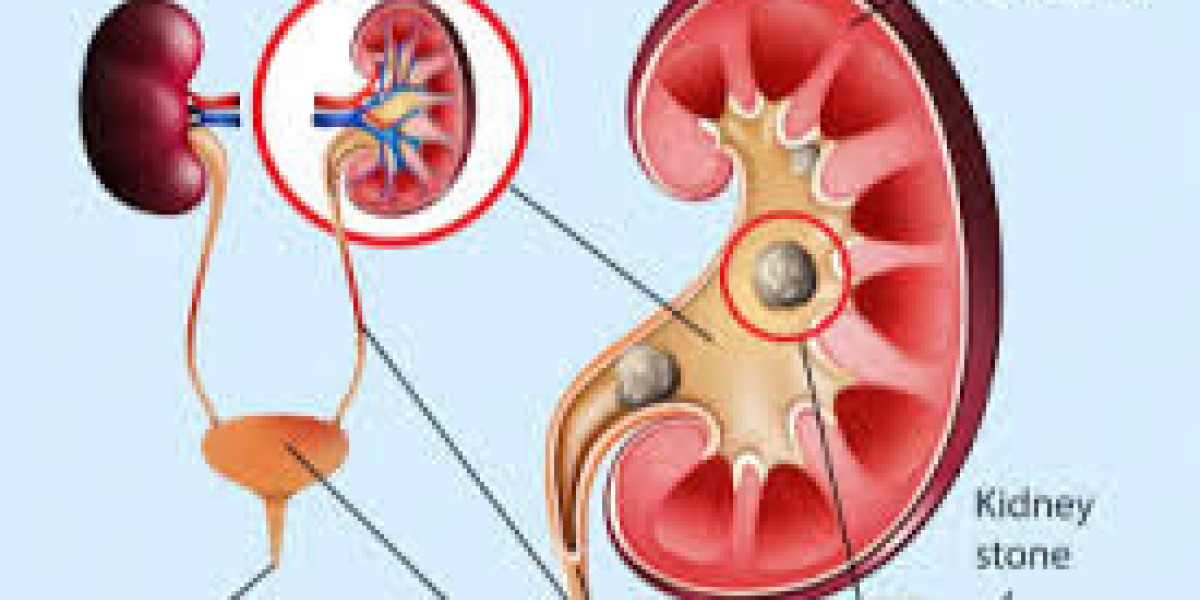 When Your Body Sends Quiet Signals: Understanding and Managing UTIs in Jayanagar
