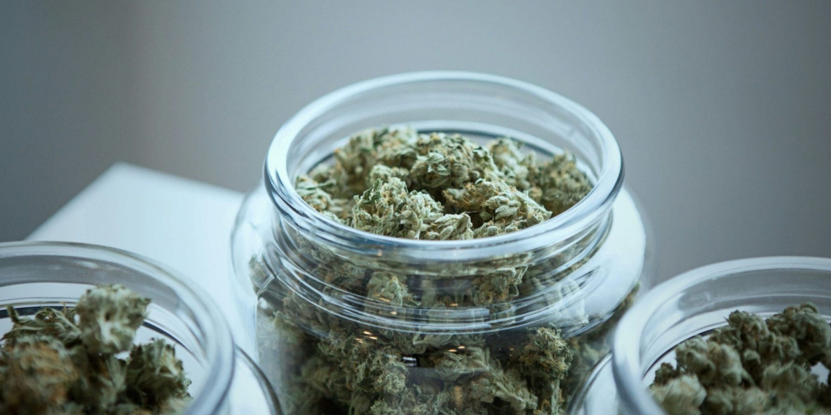 Best Cannabis Strains