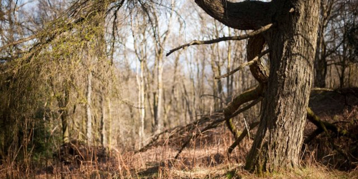 Online Casino Bonuses & Exclusive Offers for 2025