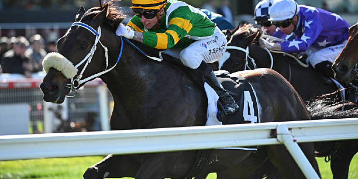 A Comprehensive Guide to Choosing the Best Aussie Betting Sites in 2025