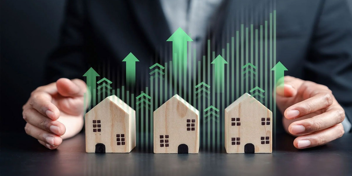 Investment Management Advisor