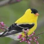 Mark Maxwell Profile Picture