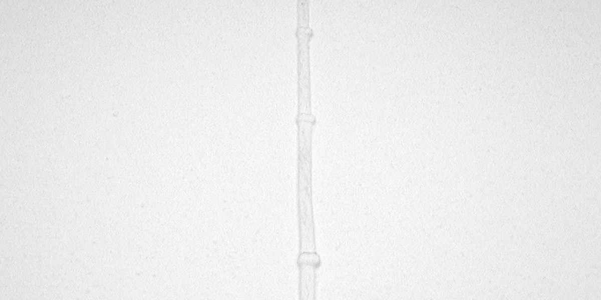 Top USA Online Casinos: Find New Sites & Highest Payouts