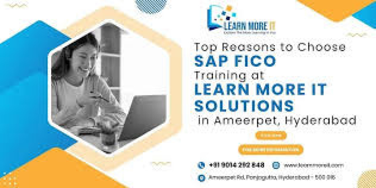 S.A.P fico institute in Ameerpet