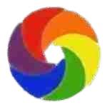 Wordpress Developer Profile Picture