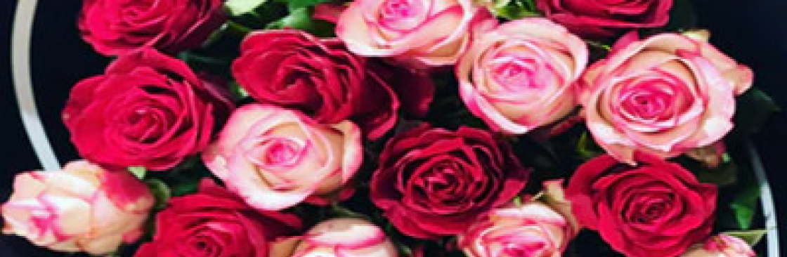 Mathews Camroon Cover Image