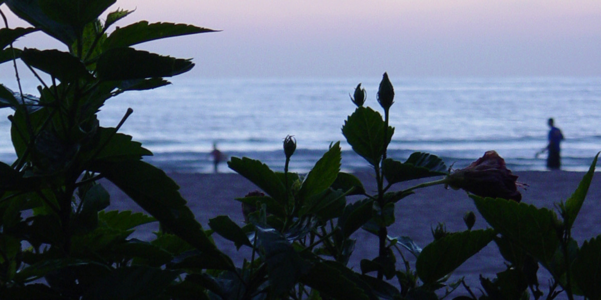 SGR ASX: Has Ballys met its match in an impossible Star Entertainment turnaround task?