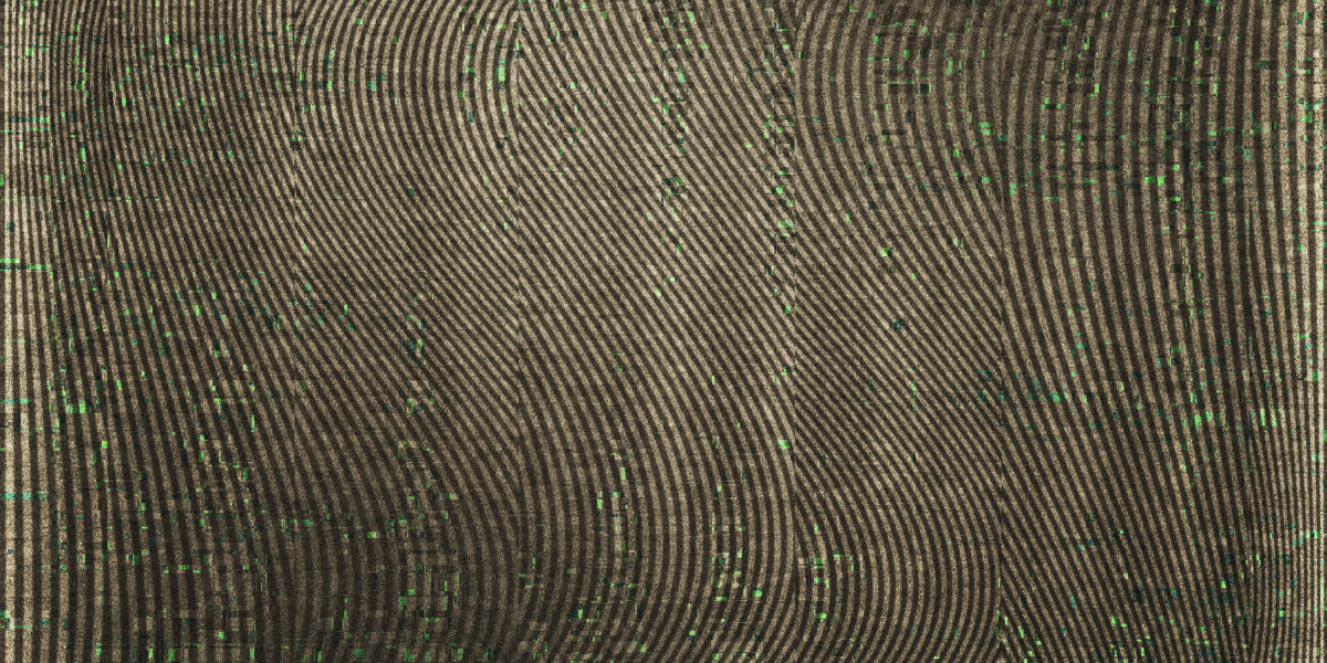 Investing in Stability: The Rise of Gold and Silver IRA Companies