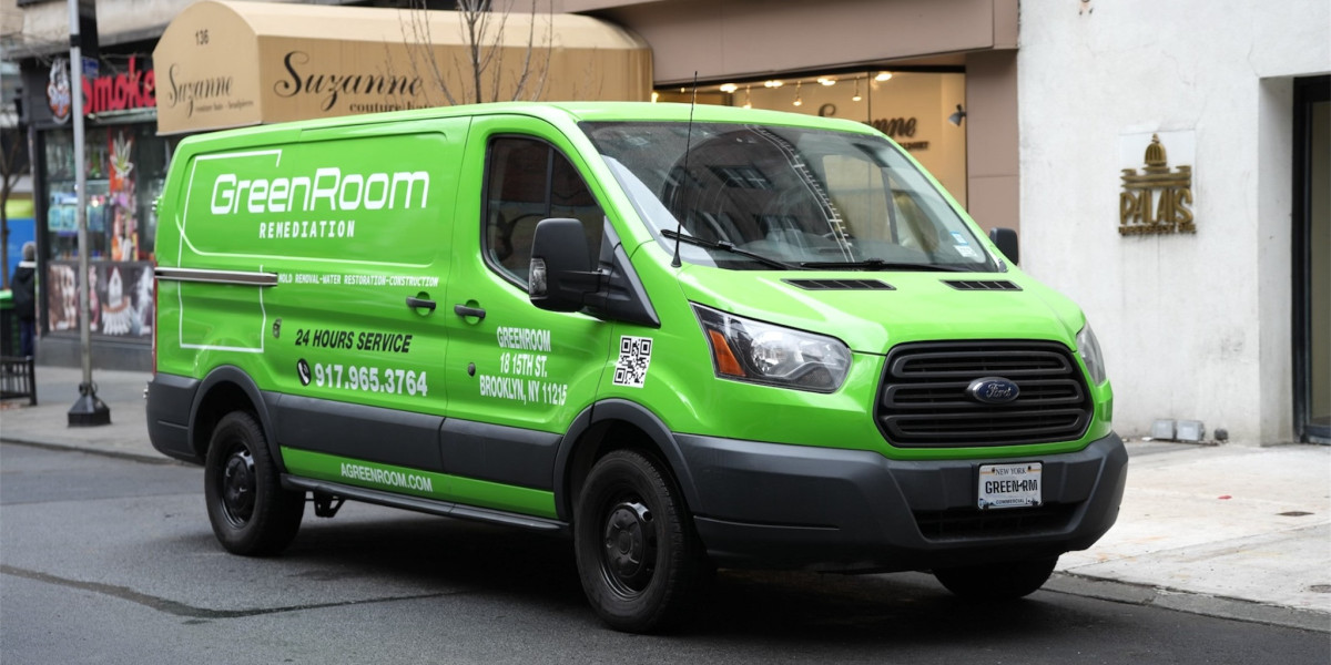 Emergency Mold Removal New York