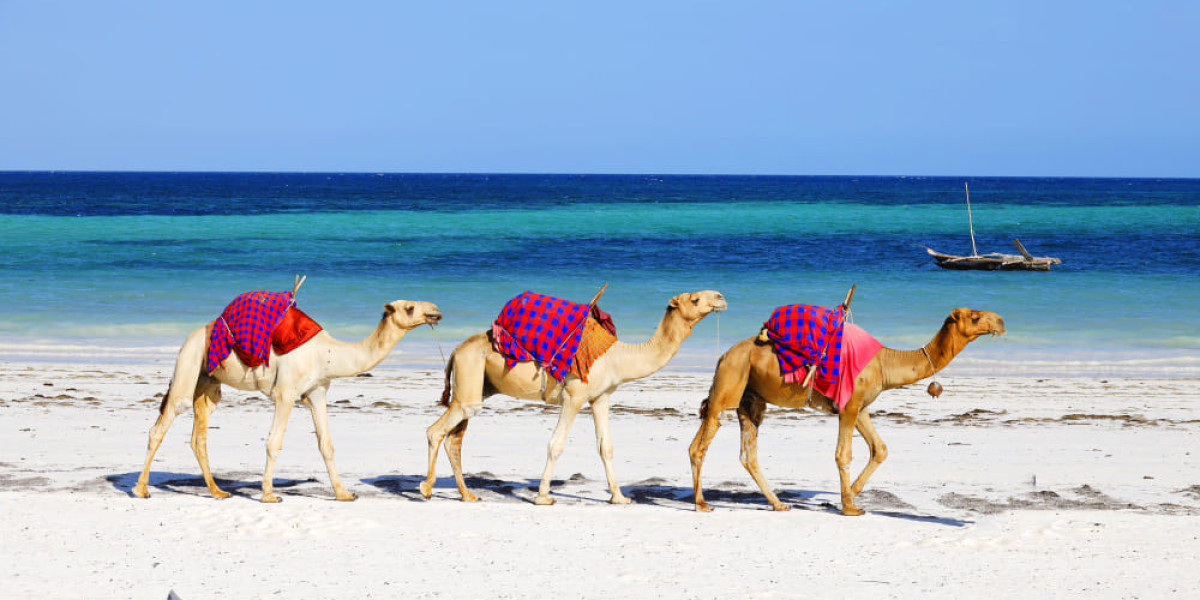 Cheap Holidays to Egypt: How to Explore the Land of the Pharaohs on a Budget