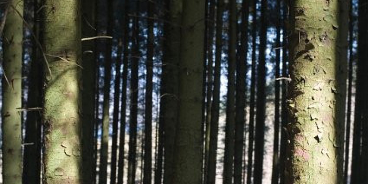 Sky Crown Casino AU Pokies, Bonuses & Fast Withdrawals