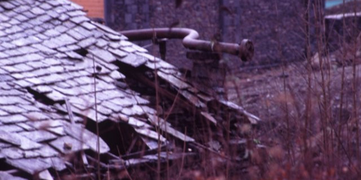 Royal Reels Casino: Top Pokie Games & Live Casino Action