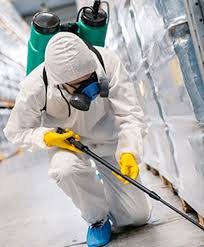 Effective Ways to Keep Your Home Pest-Free With Pest Control Richmond Hill - Zyn Rewards