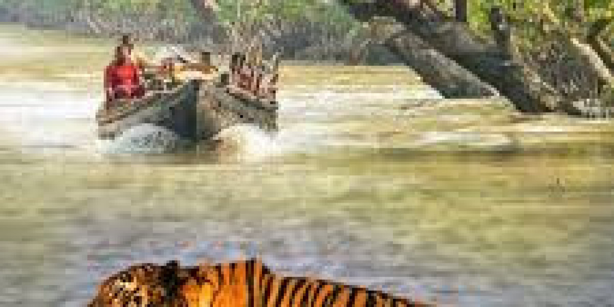 When the Forest Calls: A Slow, Soulful Journey Into the Heart of the Sundarbans