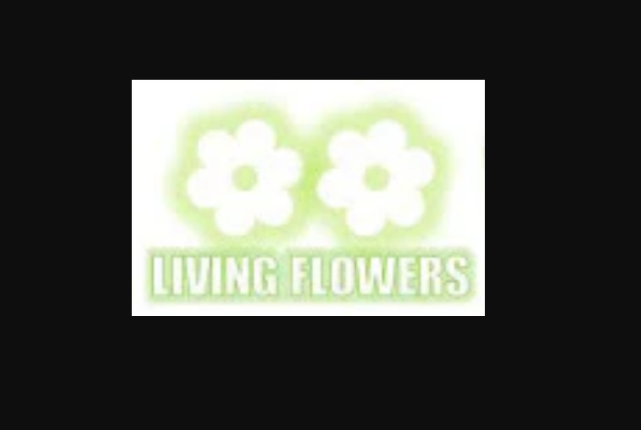 living flowers Profile Picture