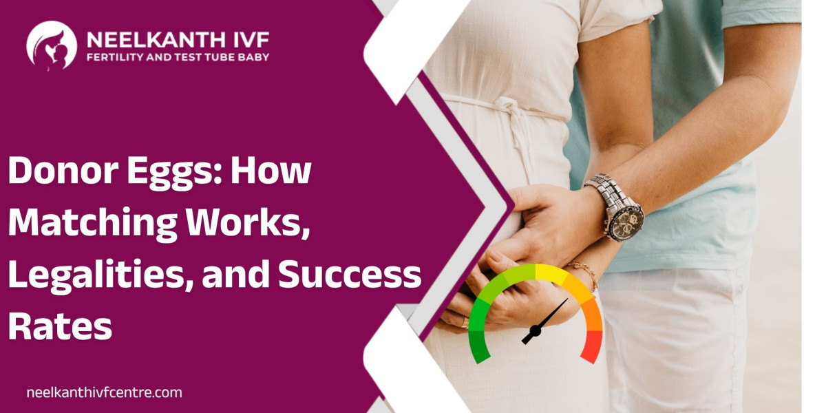 Donor Eggs: How Matching Works, Legalities, and Success Rates