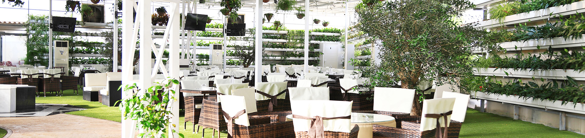 Mix Grill Abu Dhabi| Best Mixed Grill in Abu Dhabi