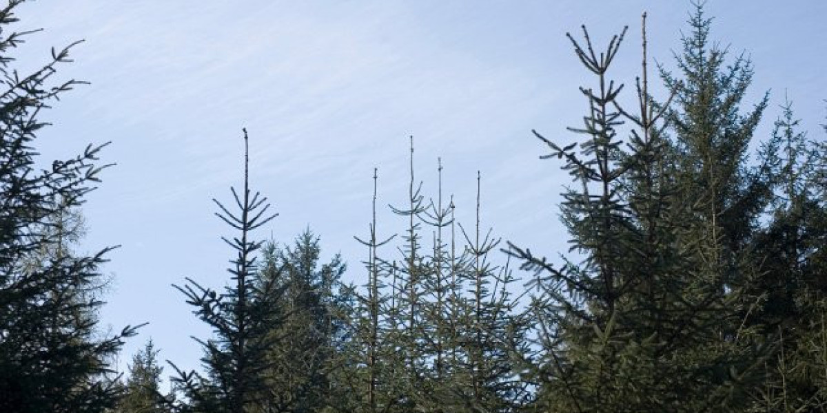 Get $8,000 + 400 FS on Registration