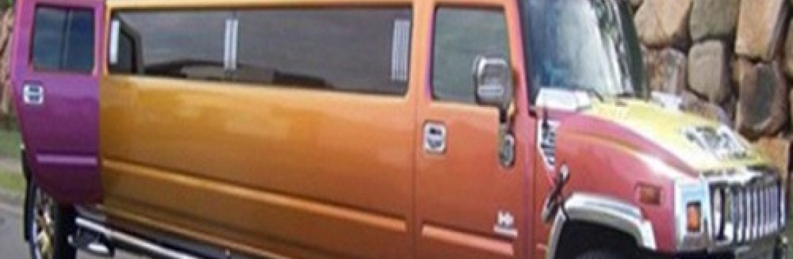 Mayas Hummer Cover Image