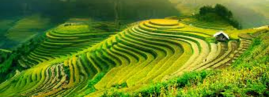 Threeland Travel Cover Image