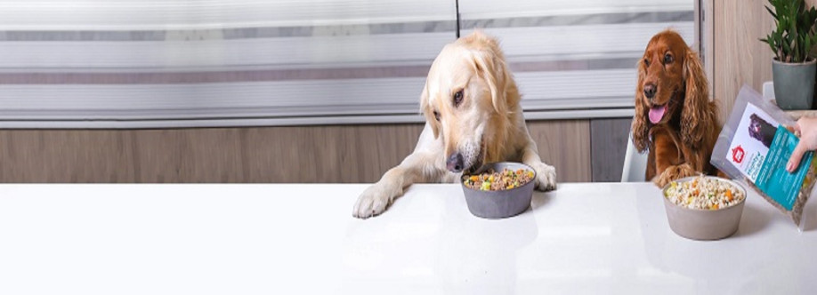 Paw Pots Dubai Profile Picture