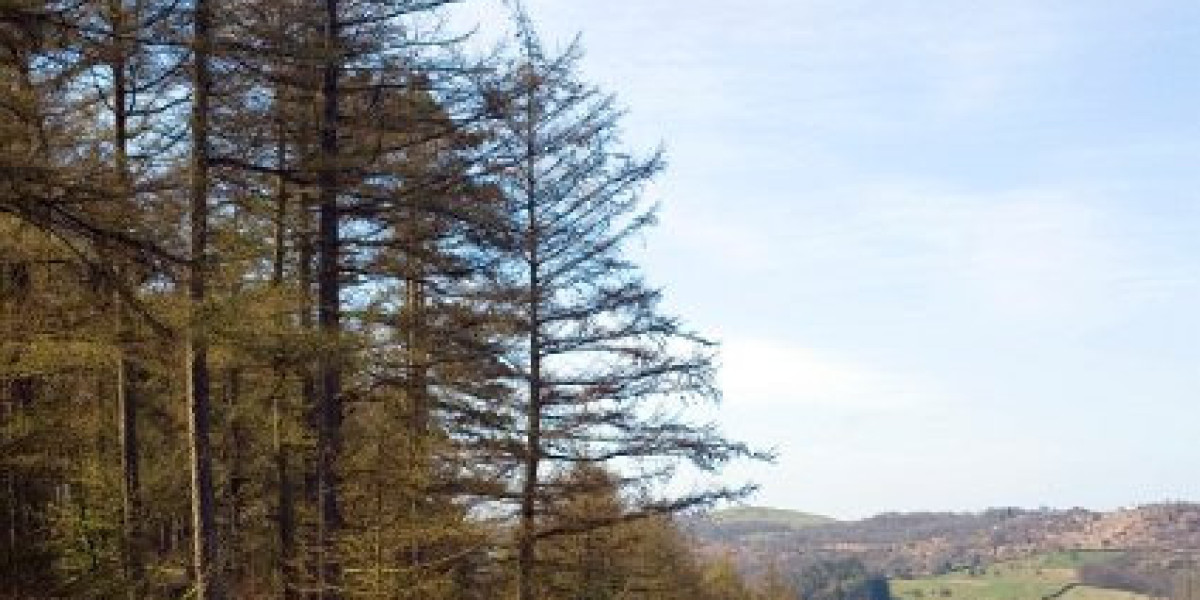 ‎Casino World Slots & Rewards App