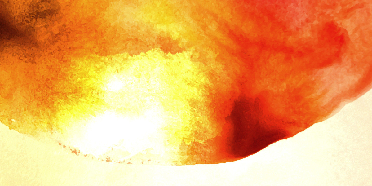 The Rise Of Private Jet Charter Companies: A Complete Overview