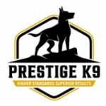 Prestige k9 Profile Picture