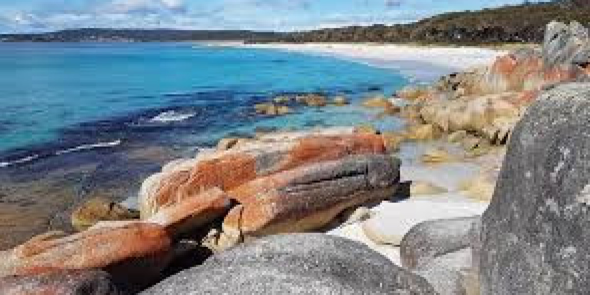 Tasmania Walking Tours: Discover the Wild Adventure You Can’t Afford to Miss