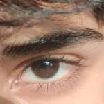 Alex harmozi Profile Picture