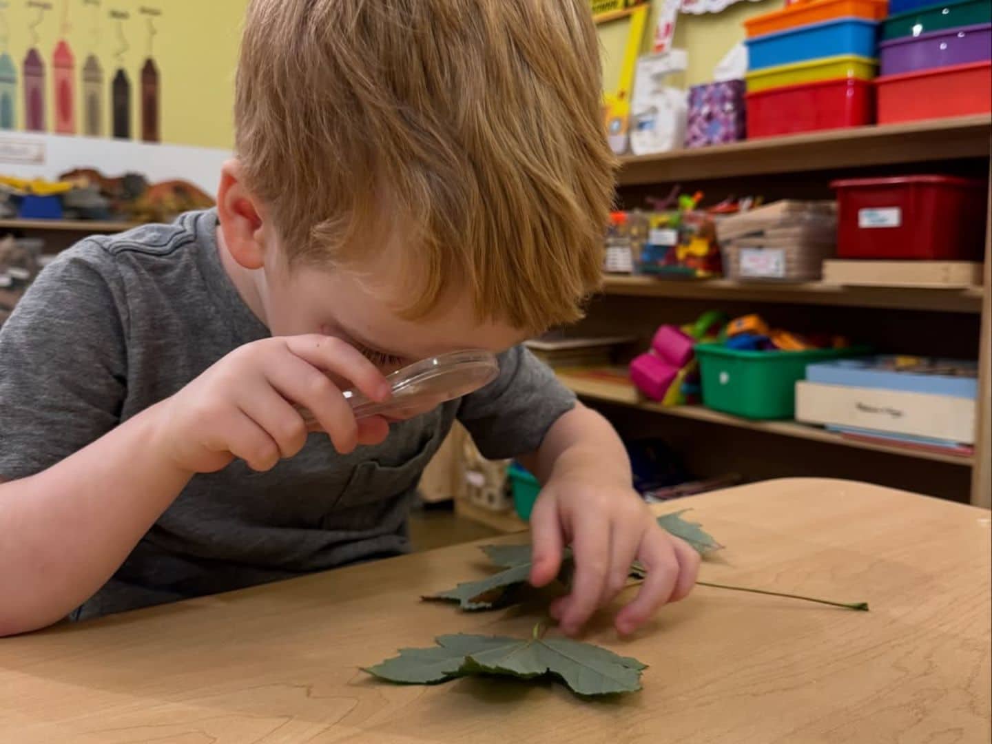 Child Care Brooklyn: 7 Reasons Families Choose Early Learning