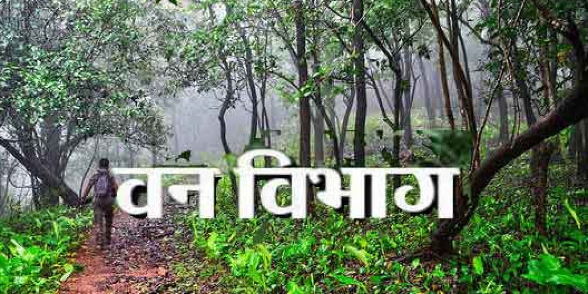 Looking for a Steady Path in a Noisy World: Understanding Van Vibhag Recruitment Today