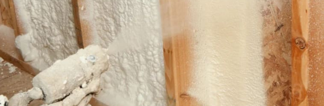 Des Moines Insulation Cover Image