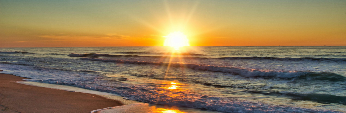 Holly Fisk Cover Image