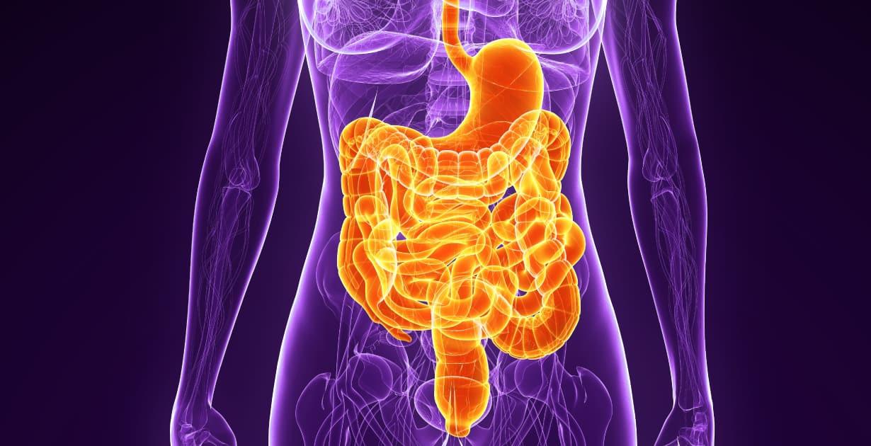 Listening to Your Stomach: Why Digestive Health in Banashankari...