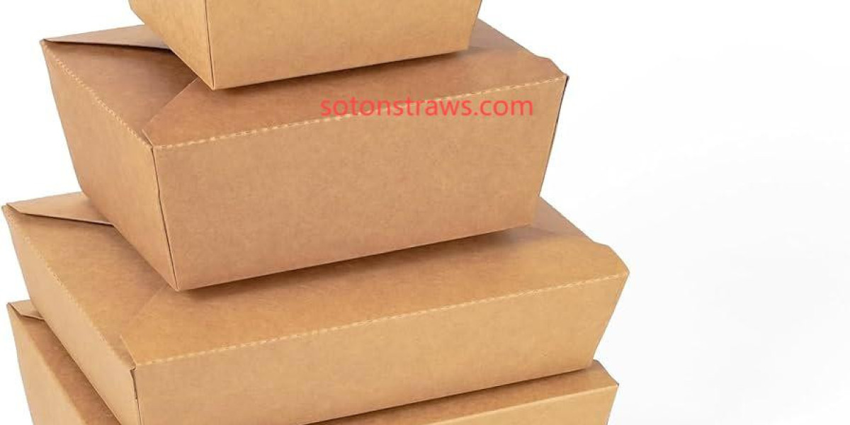 Soton Disposable Kraft Box: Natural Takeaway Options