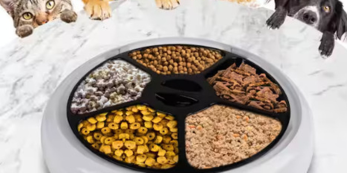 Why Choose Pawtechpet as Your Pet Feeder Supplier