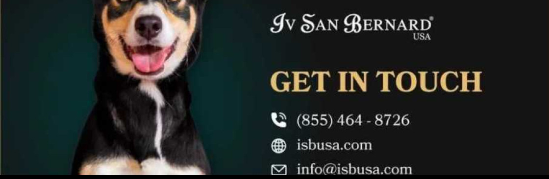 Iv San Bernard USA Cover Image