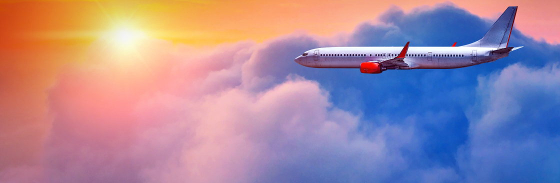 The Jersey Flights Cover Image