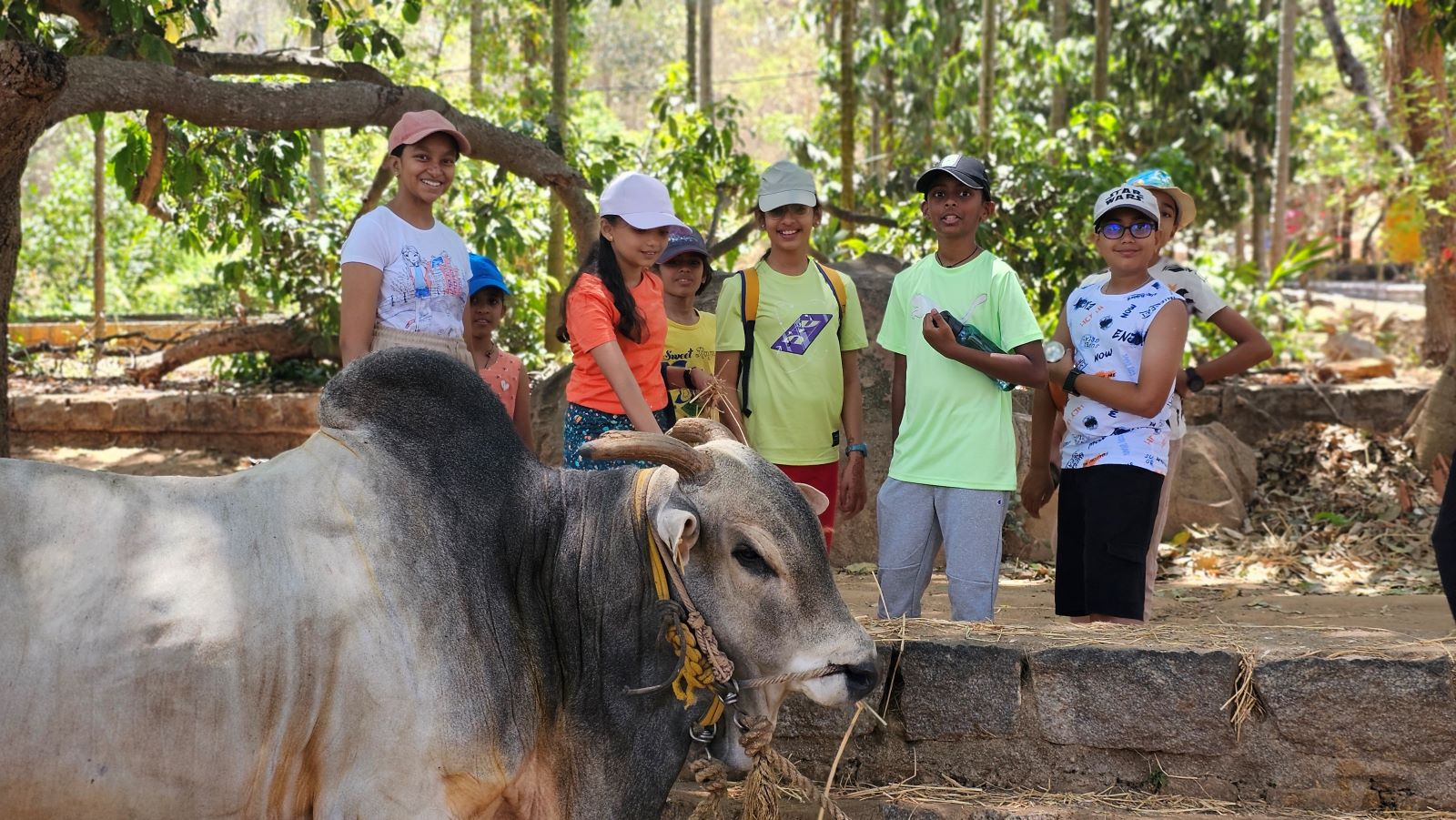 Top Kid-Friendly Farmhouse Picnic Spots Within 50 km of Bangalore