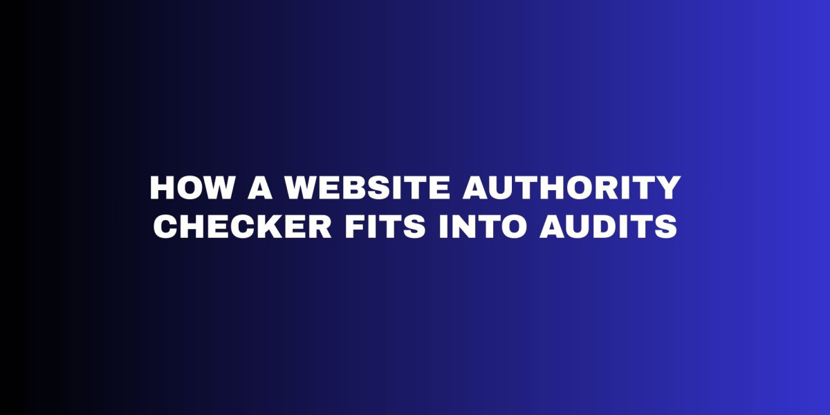 HOW A WEBSITE AUTHORITY CHECKER FITS INTO AUDITS