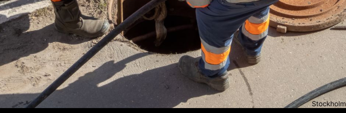 Spolbilarna Cover Image