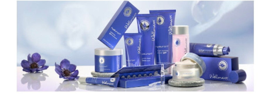 Wellmaxx Swiss Cover Image