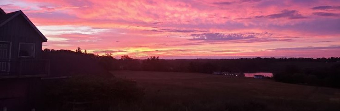 Stella Liane Cover Image