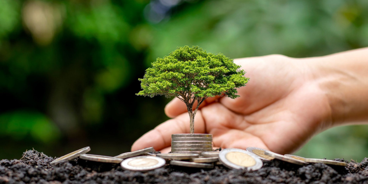 How Businesses Improve Efficiency with Advanced Sustainability Management Software?