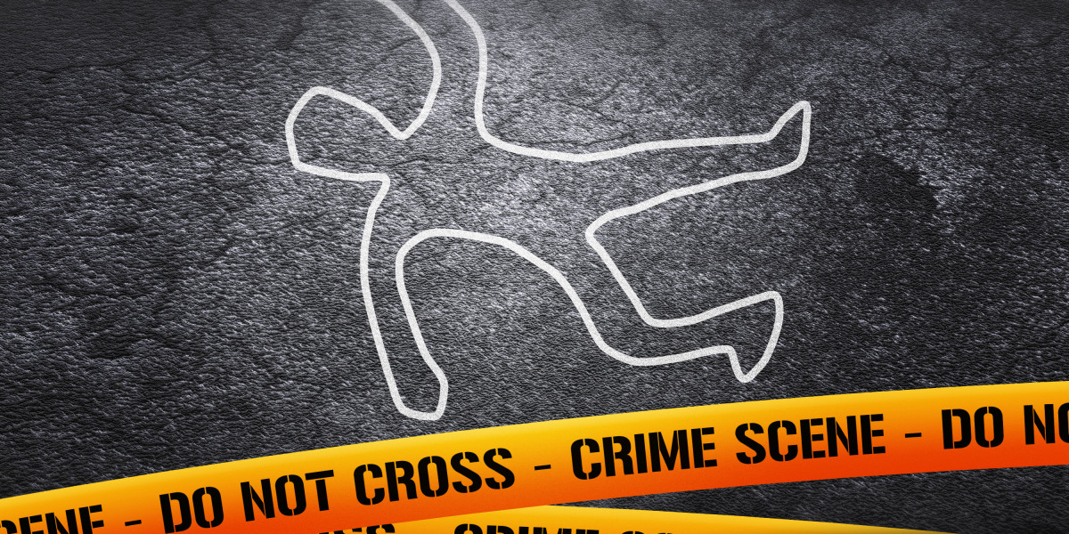 Exploring the Luxurious and Comfort Of Private Jet Charter Companies