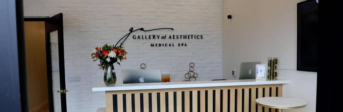 Gallery of Aesthetics Cover Image